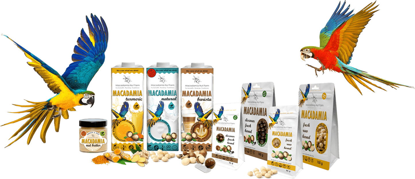 Macadamiapähkinä, kuorittu - 80g